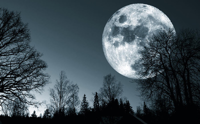 Night Wolf Luna - Home